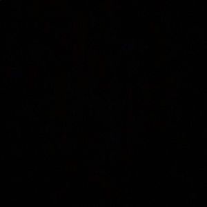 Meet your Posher, Jayden